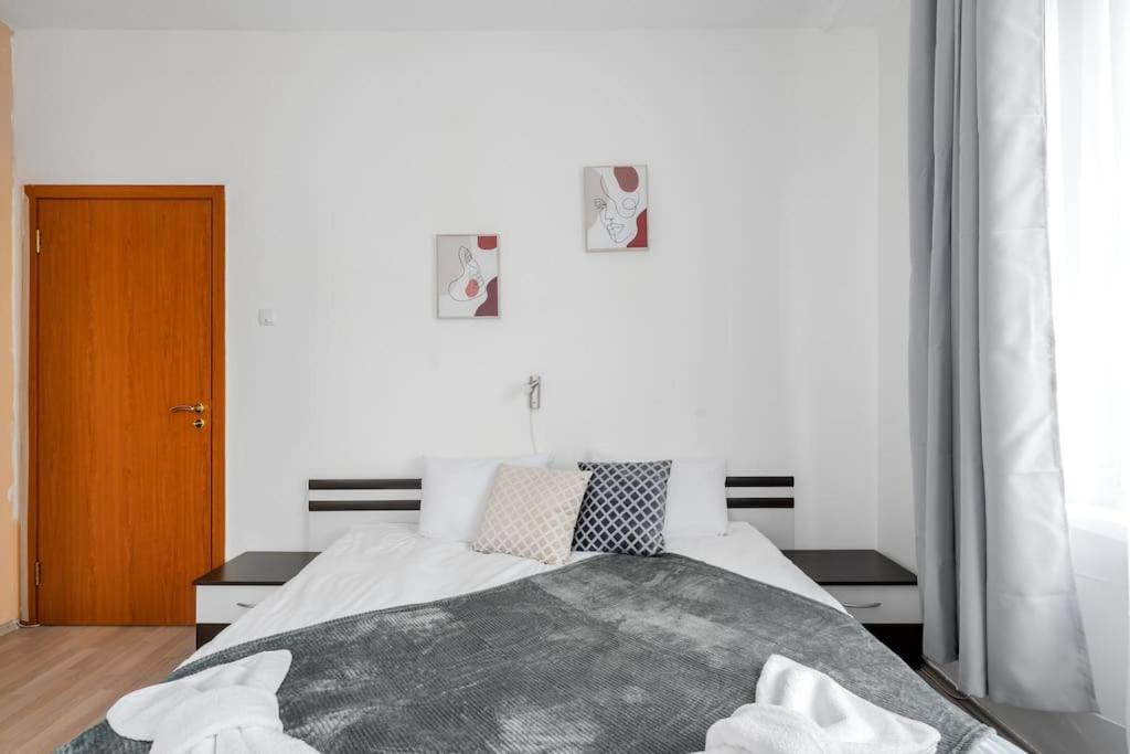 Spacious 3Bd Central Apartment Sofya Dış mekan fotoğraf